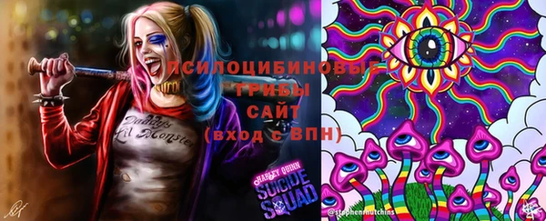 mdpv Магас